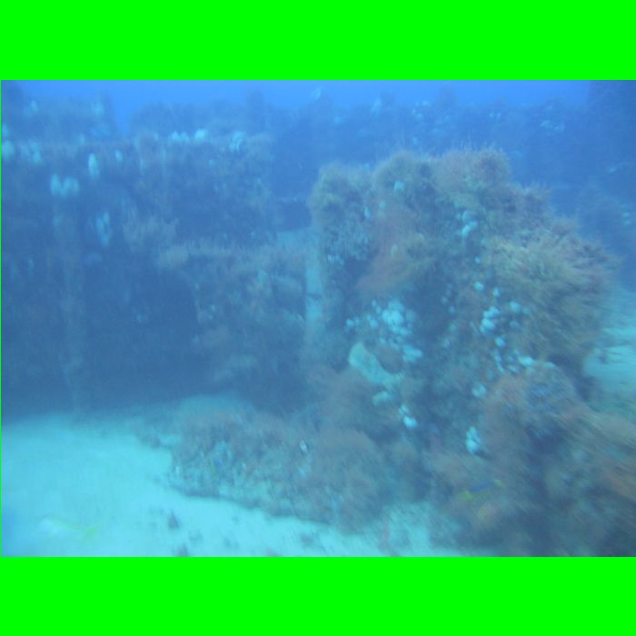Dive WP Wrecks 25-Oct-09_399.JPG